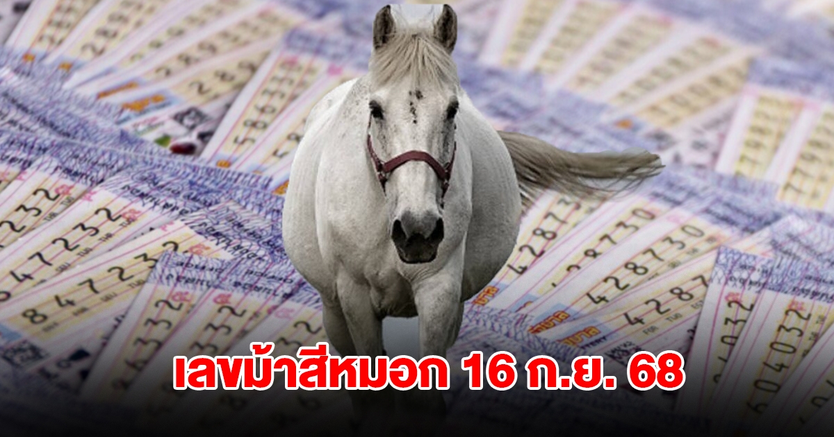มาแล้ว เลขม้าสีหมอก วันที่ 16 ก.ย. 68
