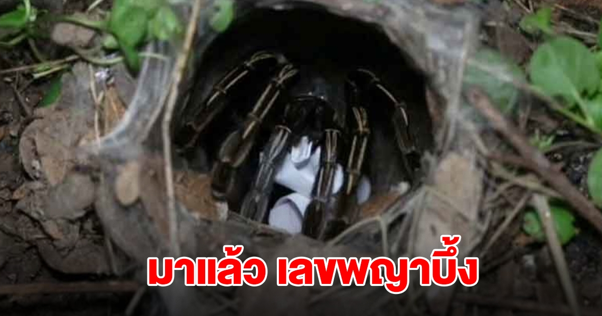 มาแล้ว เลขพญาบึ้ง งวด 16 ก.ย.68