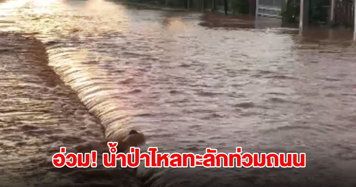 อ่วม! อ.พิมาย น้ำป่าไหลทะลักท่วมถนน รถสัญจรผ่านลำบาก