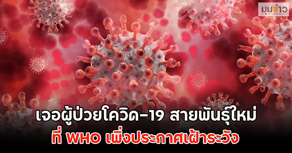ด่วน!! เจอผู้ป่วยโควิด-19 สายพันธุ์ใหม่ XFG ที่ WHO เพิ่งประกาศเฝ้าระวัง