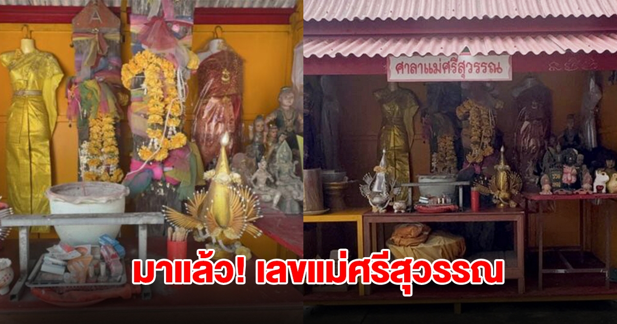 ส่องเลขต้นตะเคียน แม่ศรีสุวรรณ หลังชาวบ้านได้โชคก้อนโต