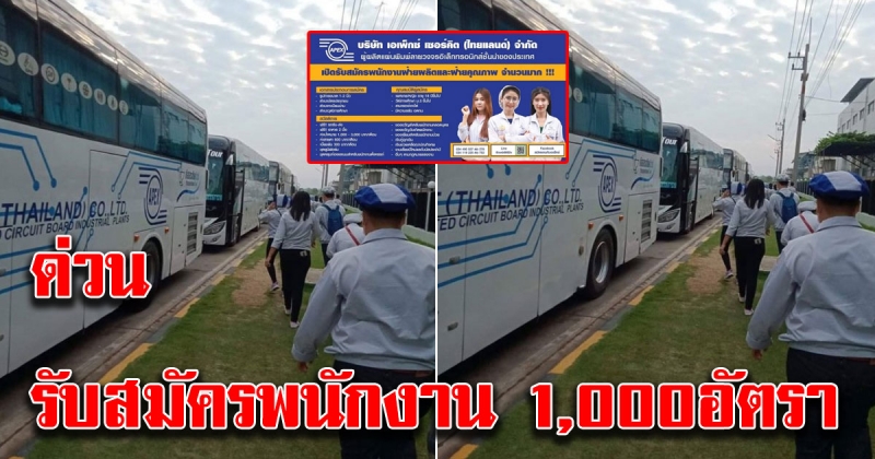 บริษัท เอเพ็คซ์ รับสมัครพนักงาน 1000 อัตรา วุฒิม 3 ขึ้นไป