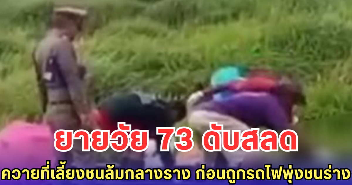 ยายวัย 73 ดับสลด ควายที่เลี้ยงชนล้มกลางราง ก่อนถูกรถไฟพุ่งชนร่าง