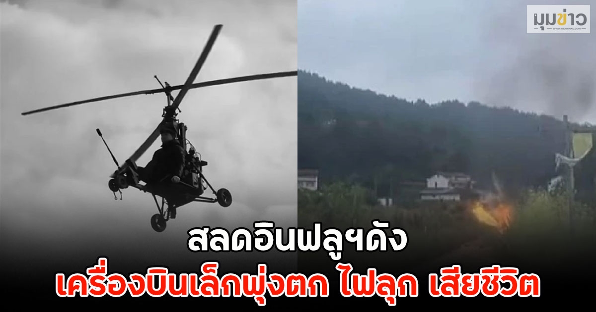 สลดอินฟลูฯดัง เครื่องบินเล็กพุ่งตก ไฟลุก เสียชีวิต