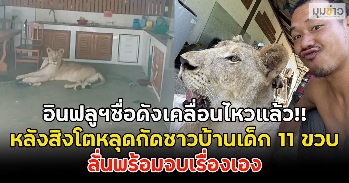 อินฟลูฯชื่อดังเคลื่อนไหวแล้ว!! หลังสิงโตหลุดกัดชาวบ้านเด็ก 11 ขวบ ลั่นพร้อมจบเรื่องเอง