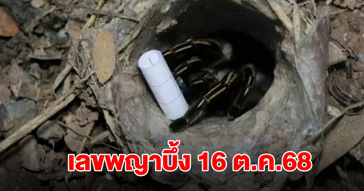 มาแล้ว! เลขพญาบึ้ง งวด 16 ต.ค.68