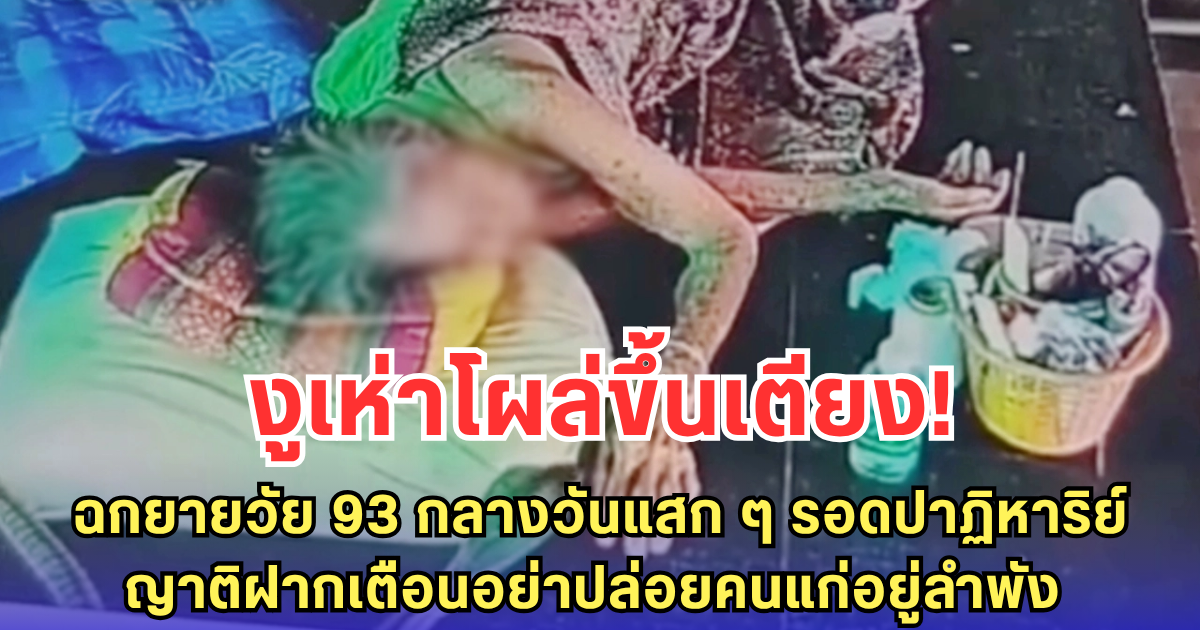 งูเห่าโผล่ขึ้นเตียง ฉกยายวัย 93 กลางวันแสก ๆ รอดปาฏิหาริย์ ญาติฝากเตือนอย่าปล่อยคนแก่อยู่ลำพัง