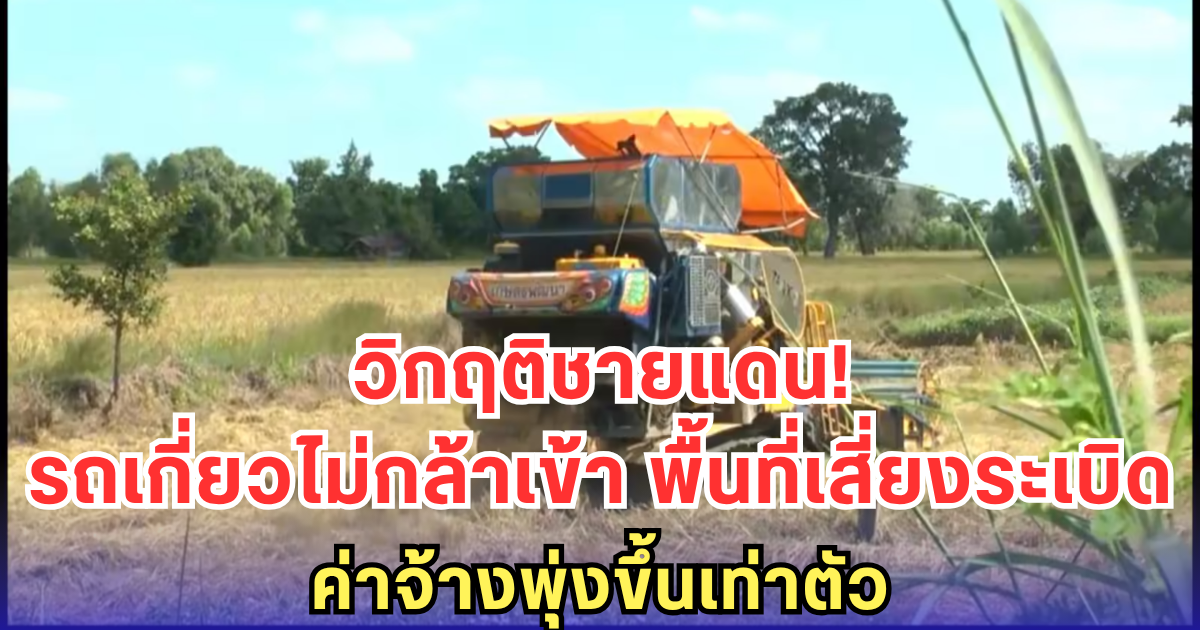 วิกฤติชายแดน! รถเกี่ยวไม่กล้าเข้า พื้นที่เสี่ยงระเบิด - ค่าจ้างพุ่งขึ้นเท่าตัว
