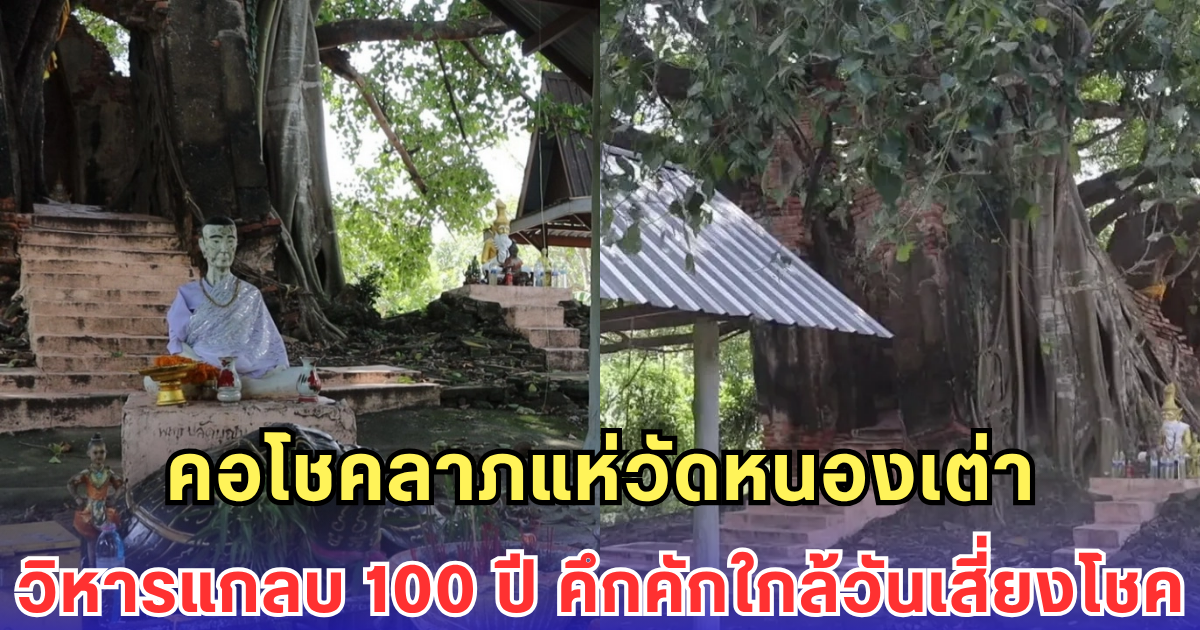 คอโชคลาภแห่วัดหนองเต่า วิหารแกลบ 100 ปี คึกคักใกล้วันเสี่ยงโชค