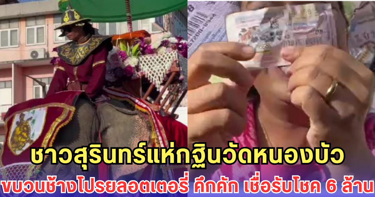 ชาวสุรินทร์แห่กฐินวัดหนองบัว ขบวนช้างโปรยทานลอตเตอรี่ คึกคัก! เชื่อรับโชค 6 ล้านกลับบ้าน