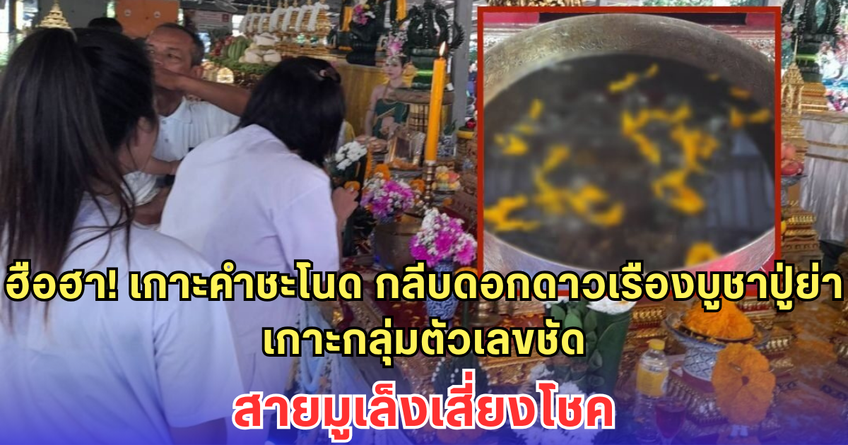 ฮือฮาทั้งลานบวงสรวง! เกาะคำชะโนด กลีบดอกดาวเรืองบูชาปู่ย่า เกาะกลุ่มตัวเลขชัด เล็งเสี่ยงโชค