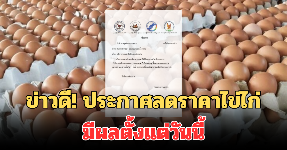 ข่าวดี! ประกาศลดราคาไข่ไก่ มีผลตั้งแต่วันนี้