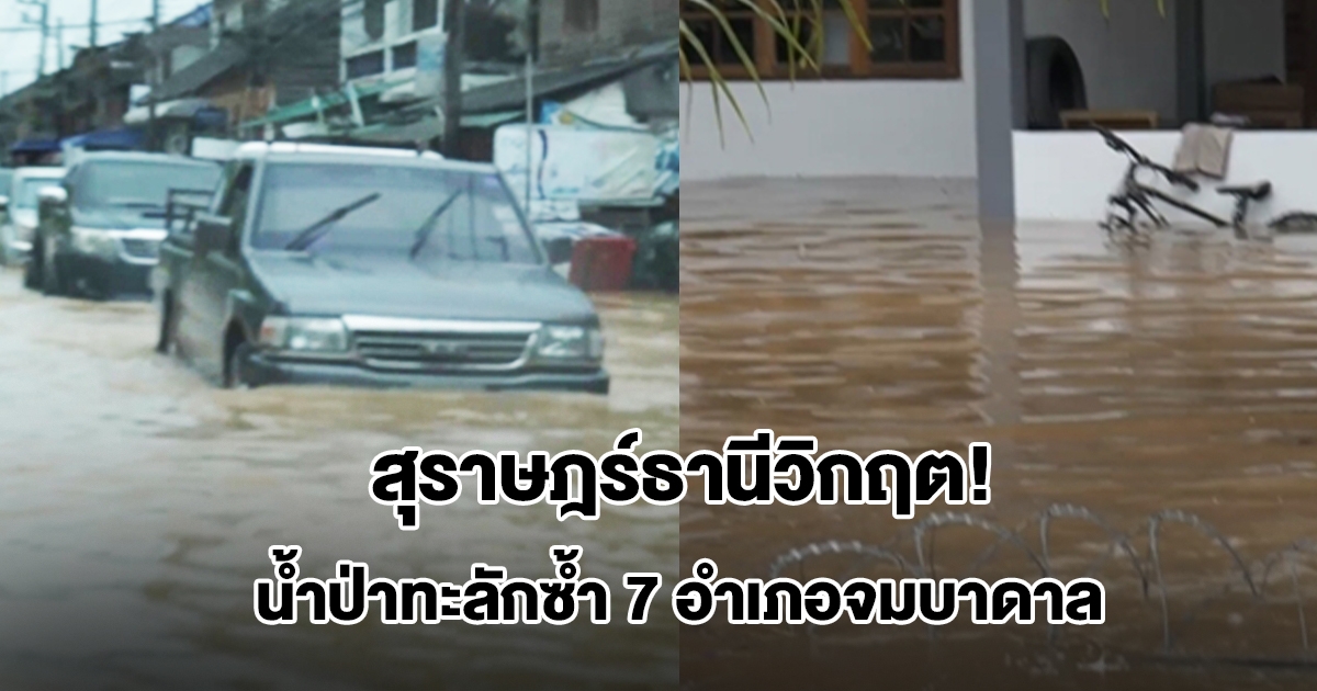 สุราษฎร์ธานีวิกฤต! น้ำป่าทะลักซ้ำ 7 อำเภอจมบาดาล จังหวัดสั่งด่วน เตือนปชช.พื้นที่เสี่ยงเฝ้าระวัง