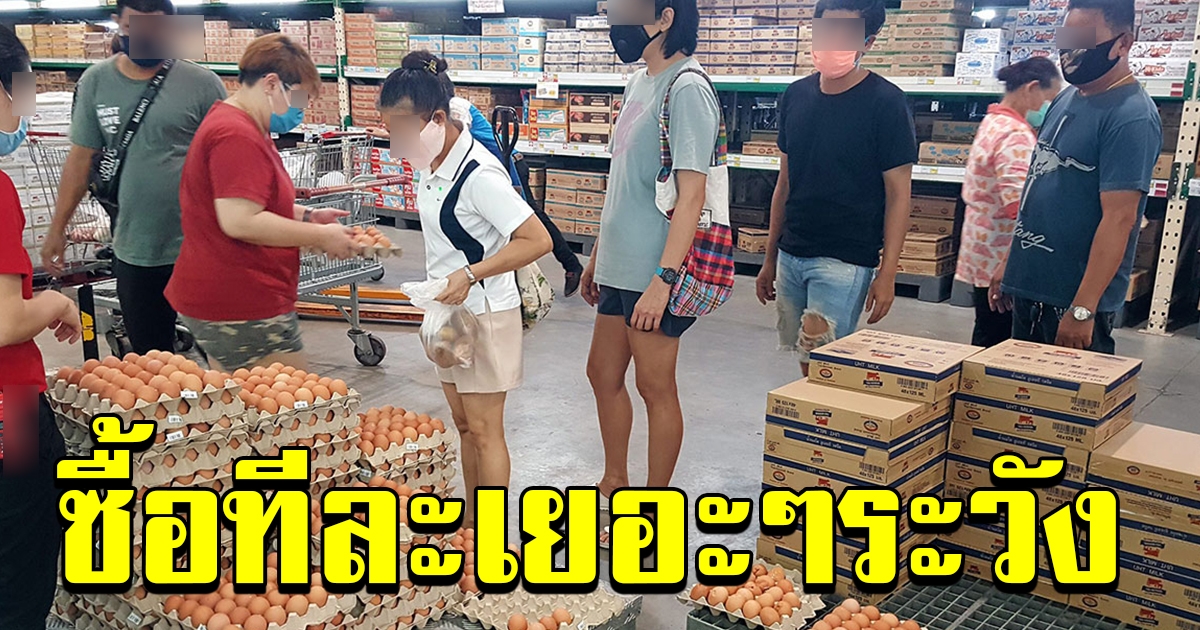 ซื้อไข่ทีละหลายๆแผง