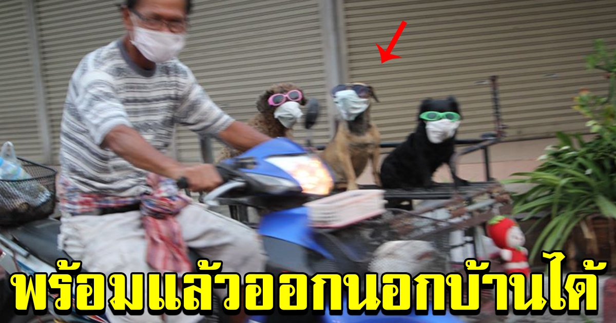 เจ้าของพาสุนัข ออกไปข้างนอกบ้านด้วย