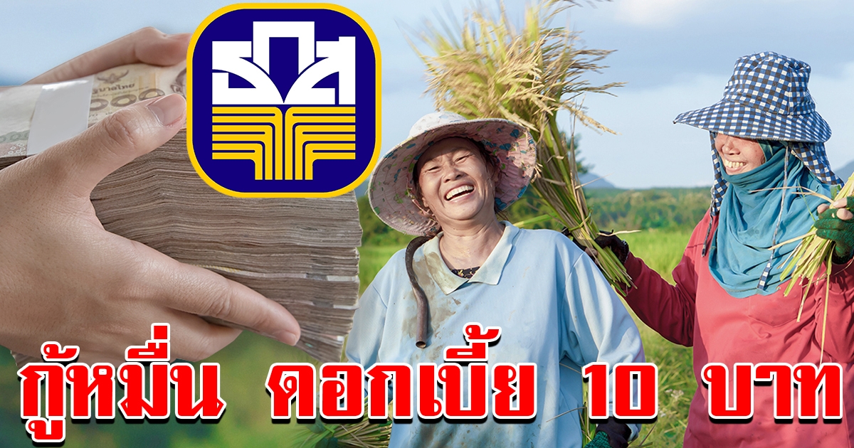 เกษตรกรยิ้มได้ ธกส ปล่อยกู้ฉุกเฉิน 1 หมื่น ดอกเบี้ยแค่ 10 ต่อเดือน