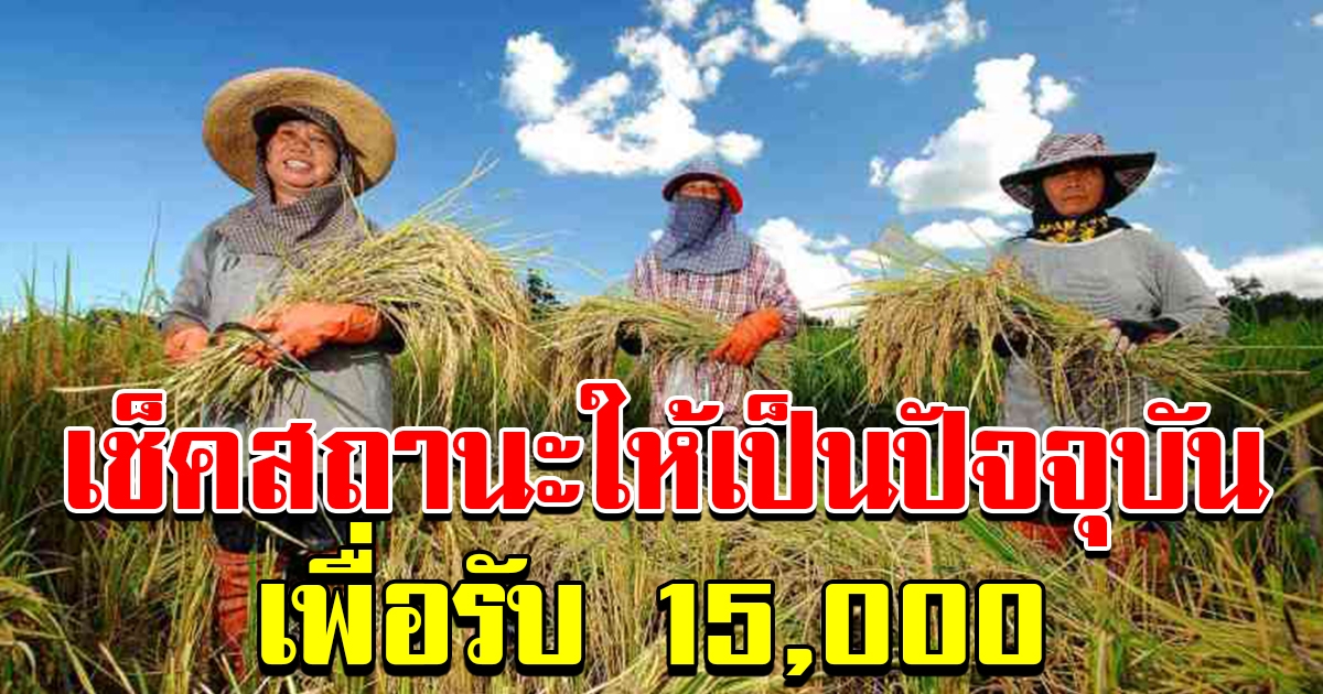 เกษตรกรตรวจสอบข้อมูล รับเงินรายละ 15000