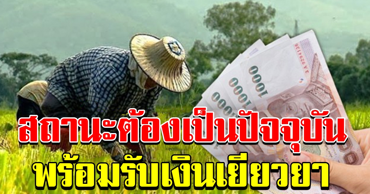 สถานะเกษตรกรเป็นปัจจุบัน