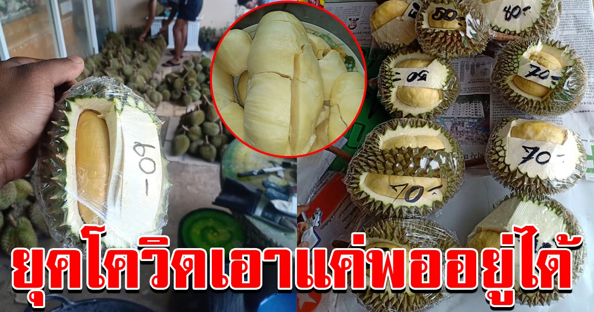 หนุ่มขายทุเรียนราคาถูก
