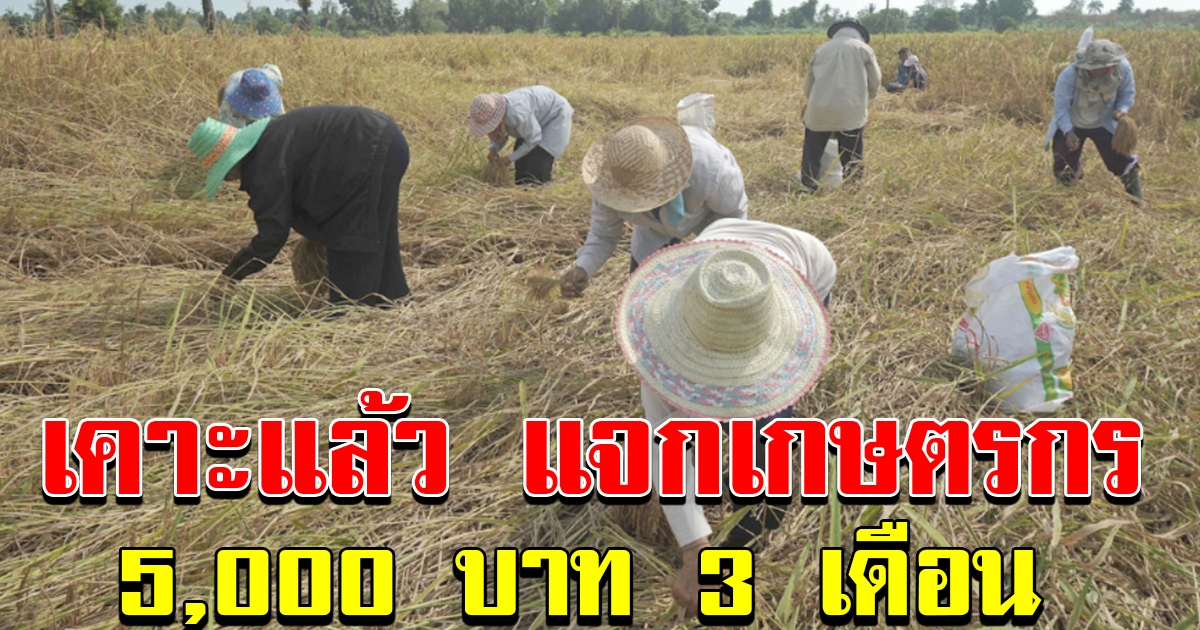 เคาะแล้ว แจกเกษตรกร 5000 จำนวน 3 เดือน