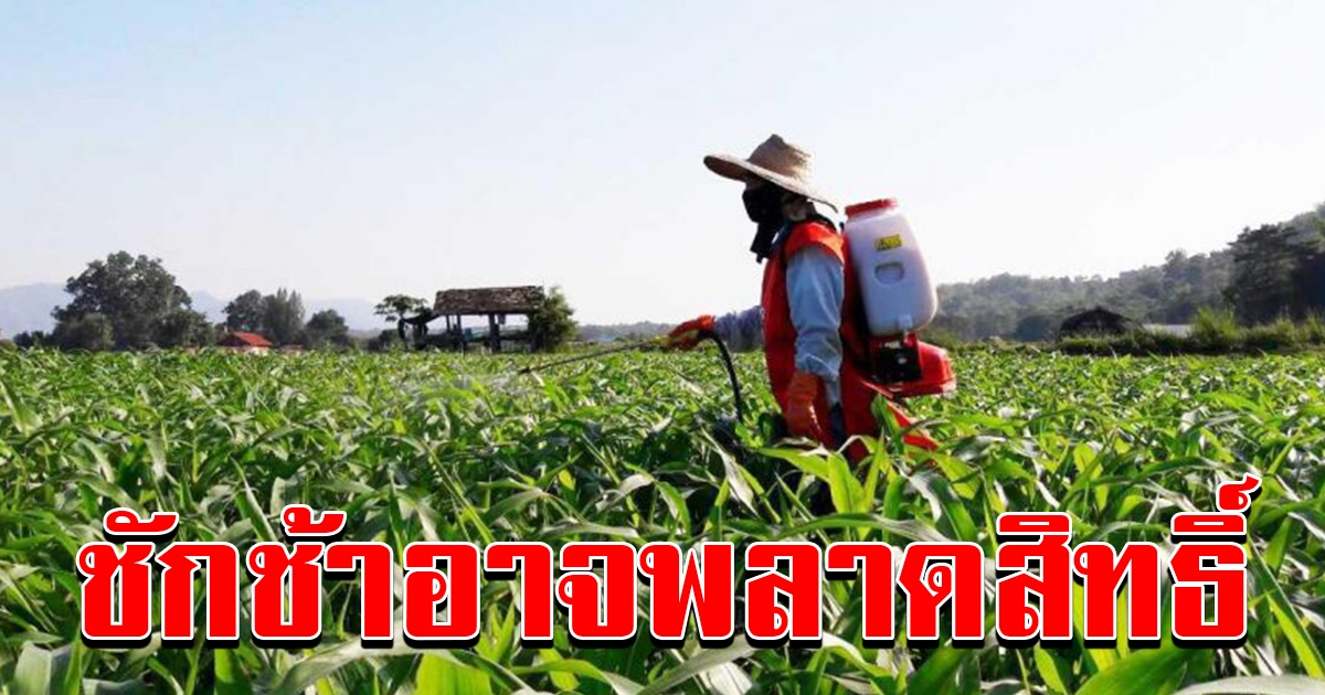 ปรับข้อมูลเกษตรกรออนไลน์ เตือนเร่งขึ้นทะเบียน เตรียมรับเงิน 15000