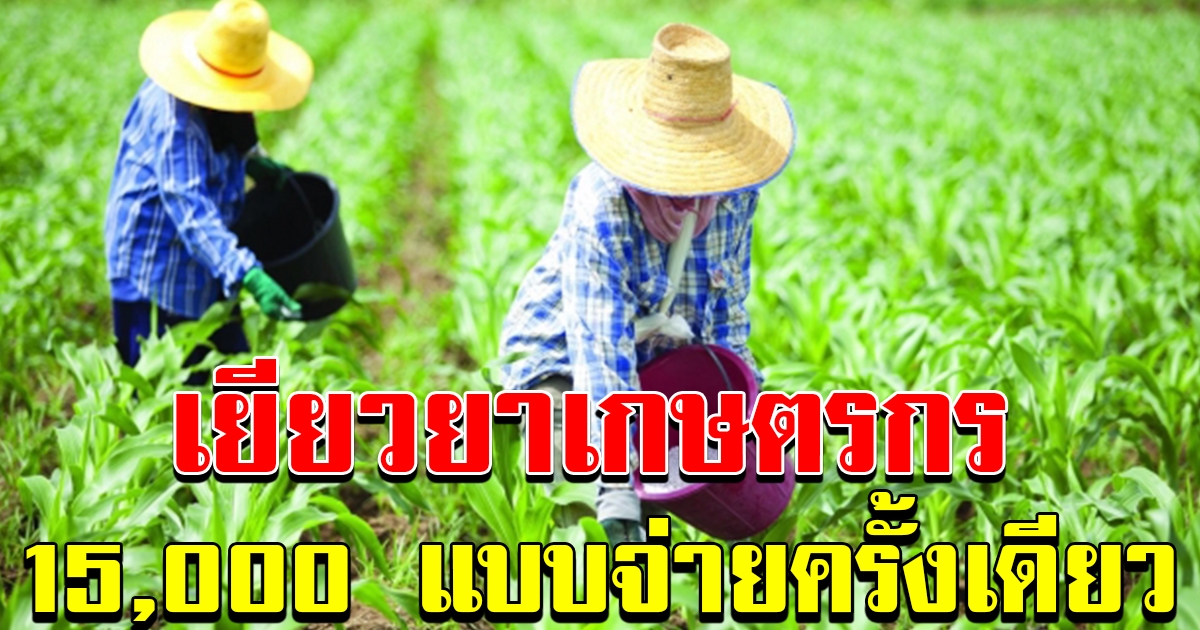 คลังไฟเขียวช่วยเกษตรกร รายละ 15000
