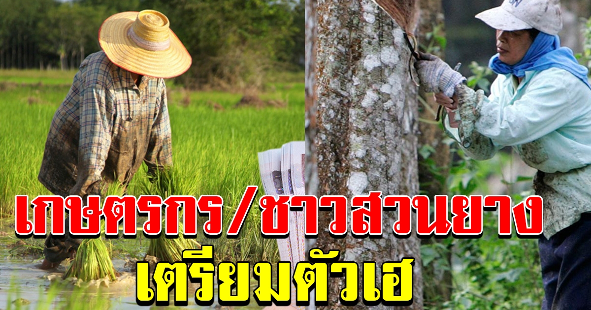 การตรวจสอบสถานะความเป็นเกษตรกร และสมาชิกครัวเรือน