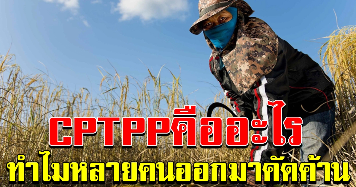 ความหมายของ CPTPP