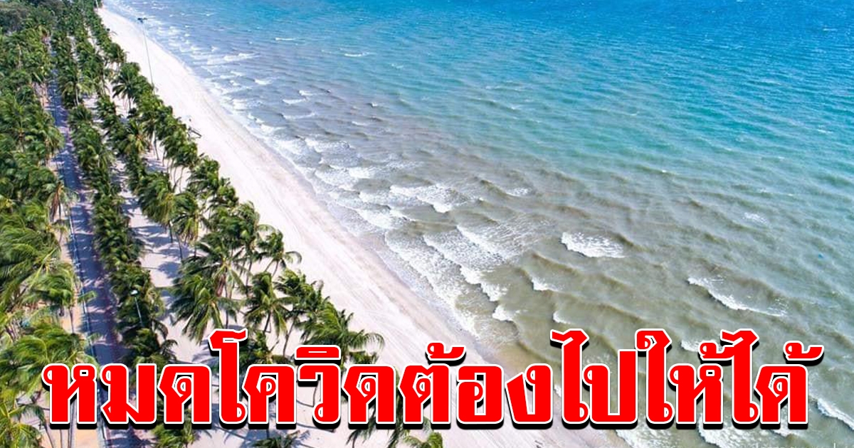 ธรรมชาติกำลังจะฟื้นฟู บางแสนช่วงปิดหาด สวยมาก