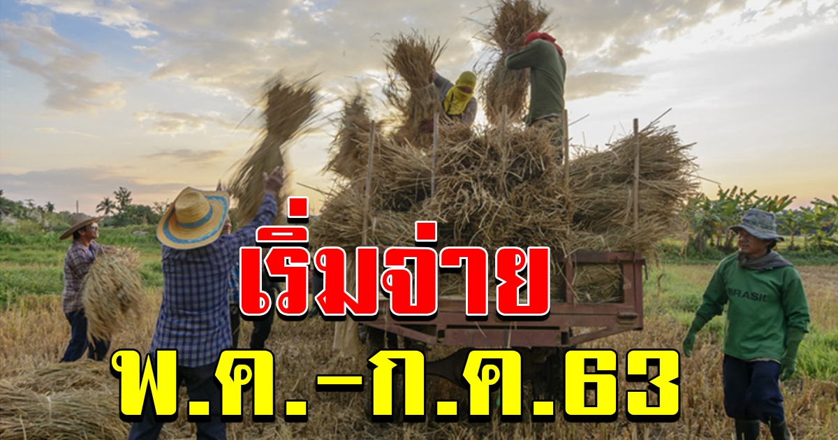 ครม เห็นชอบโครงการช่วยเหลือเกษตรกร เป็นระยะเวลาสามเดือน
