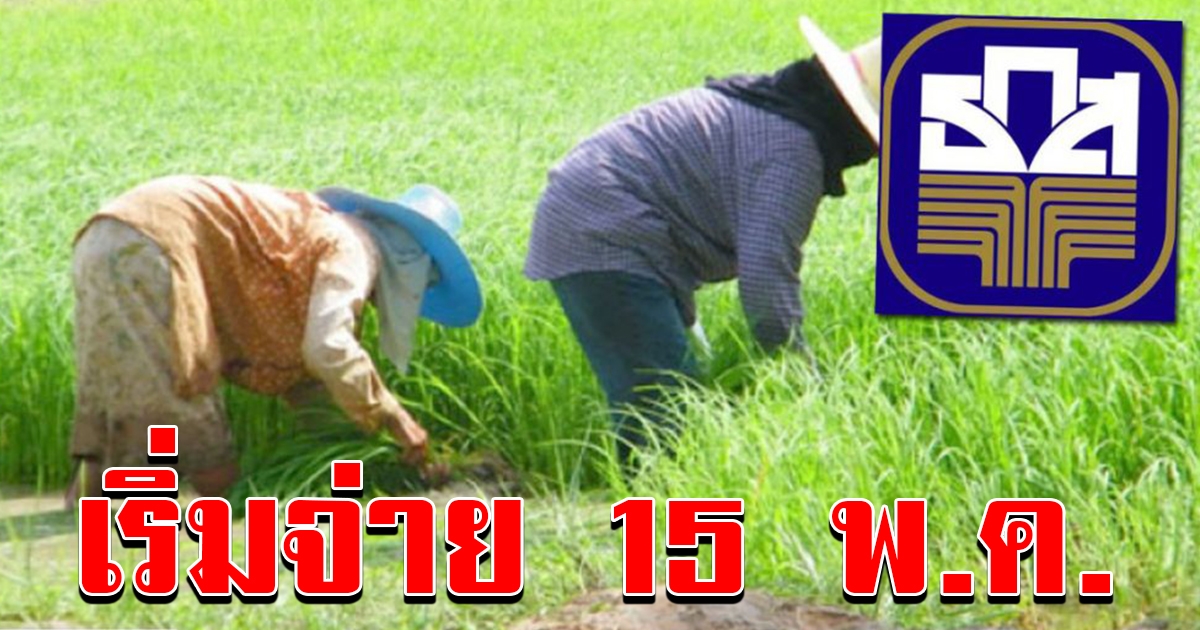 เช็กเลย สถานะลงทะเบียนเกษตรกร 15 พค เริ่มจ่าย