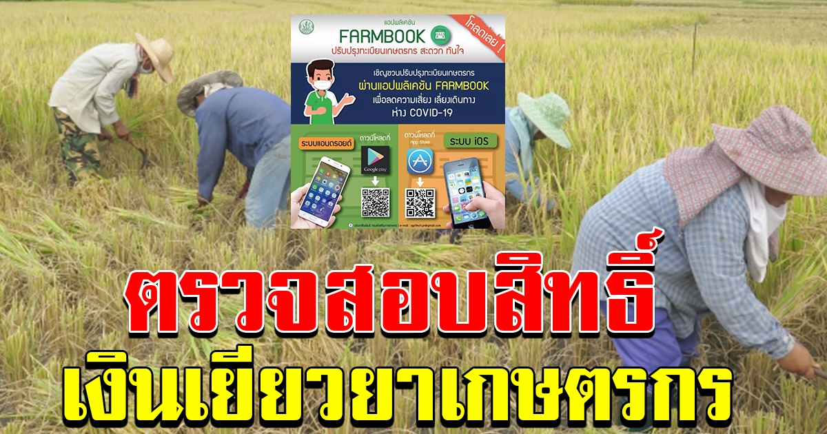 ลงทะเบียนเกษตรกร ตรวจสอบสิทธิ์ เกษตรกร