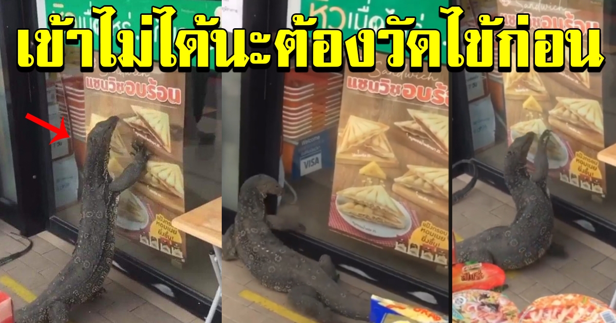 ตัวเงินตัวทองบุกเซเว่น