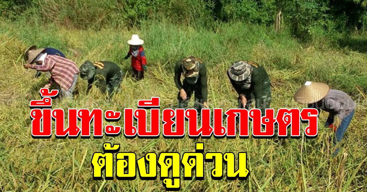 เกษตรกร ไม่ต้องไปที่สำนักงานเกษตร