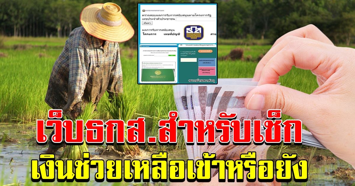 เว็บของธกส เอาไว้ตรวจสอบเงินช่วยเหลือ