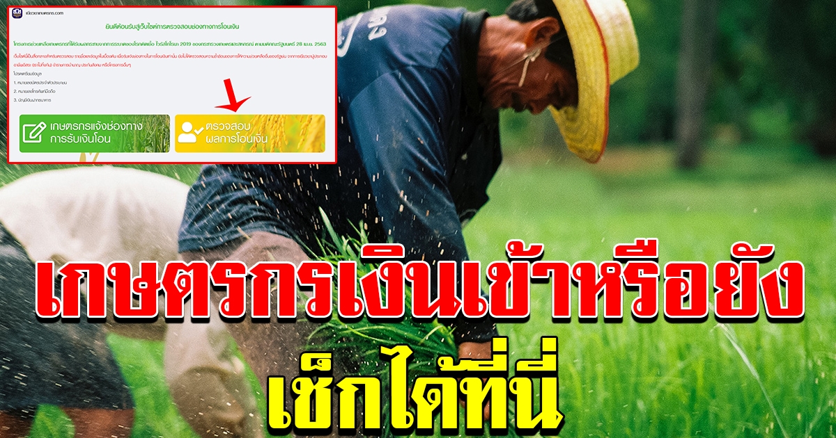 ลิ้งสำหรับตรวจสอบ สถานะการจ่ายเงิน โครงการช่วยเหลือเกษตรกร