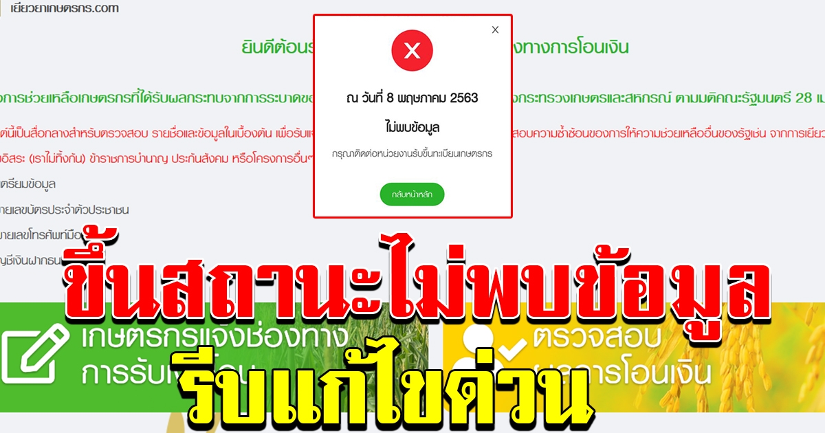 เกษตรกร ขึ้นสถานะไม่พบข้อมูล