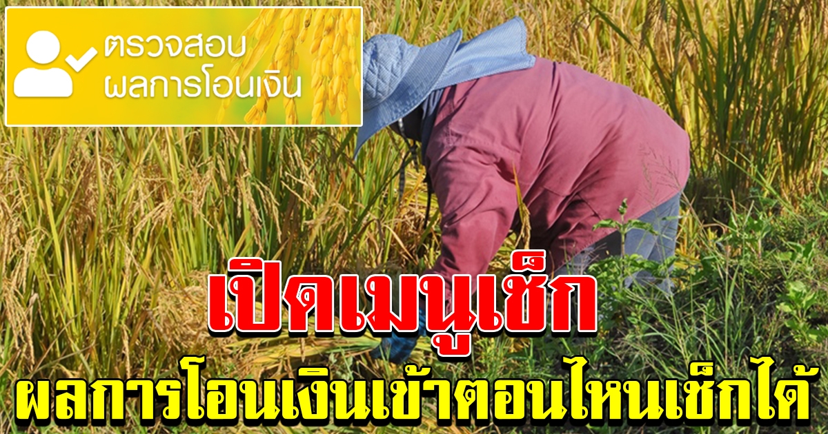 เช็กตรวจสอบผลการโอนเงิน ช่วยเหลือเกษตรกร