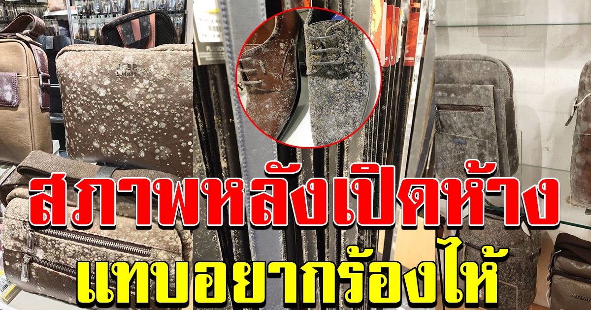 ภาพห้าง หลังปิดห้างไป 2 เดือน