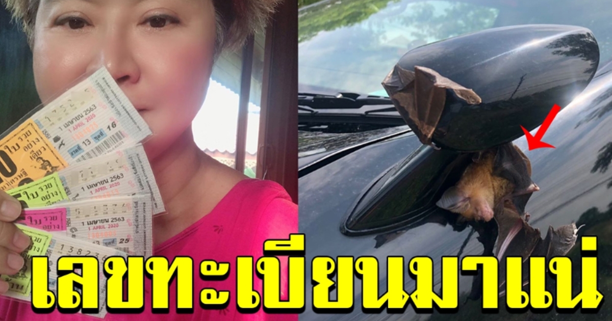 เลข พี่อ้วน รีเทิร์น