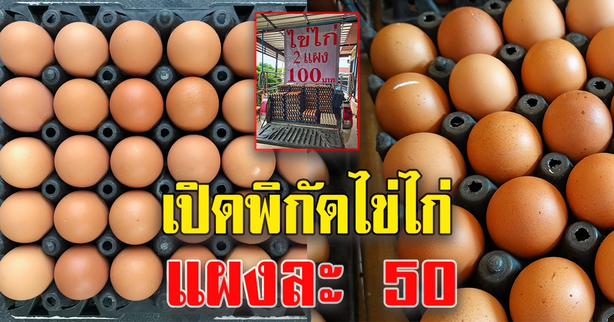 ไข่ไก่แพงละ 50