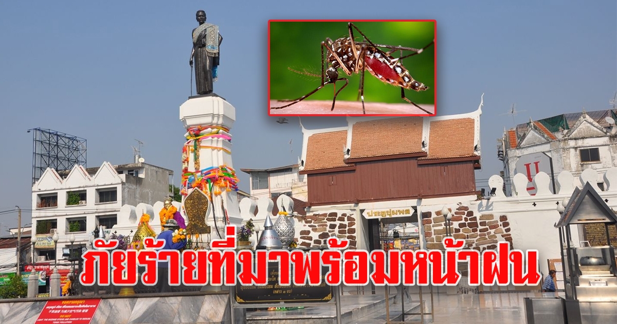 โคราชสั่งคุมเข้มไข้เลือดออก