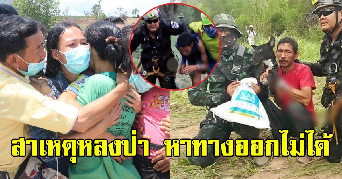 1 ใน 4 ชาวบ้านหลงป่าเผย สาเหตุหาทางออกไม่ได้ พร้อมเล่านาทีหาของกินประทังชีวิต