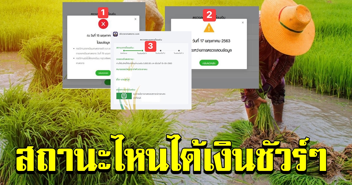 ตรวจสอบสิทธิ์ สถานะเกษตรกร