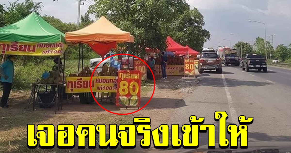 เอาอีกแล้ว ทุเรียน 80