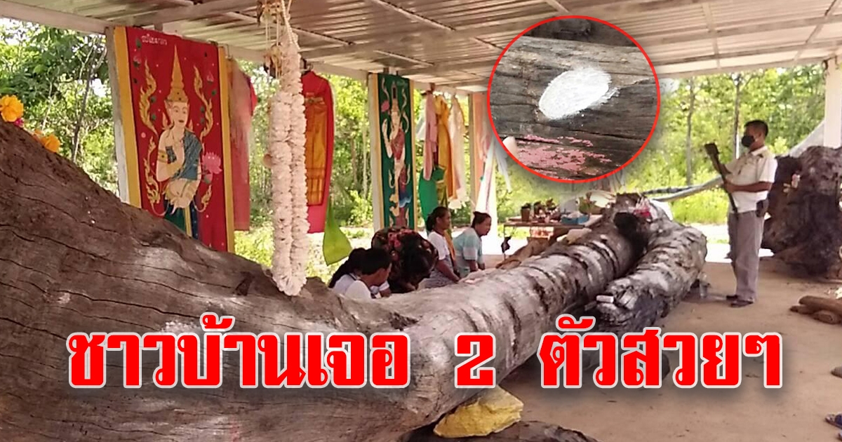 เลขจากตะเคียนวัดภูกุ้มข้าว
