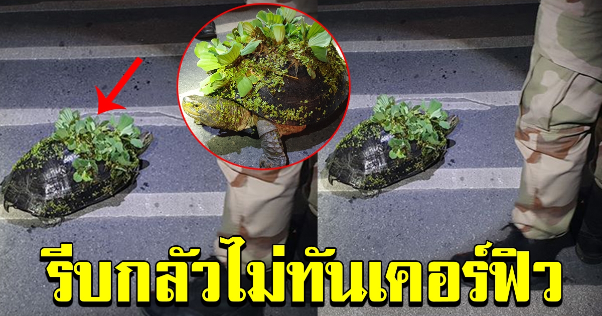 หนุ่มโพสต์ ห้าทุ่มกว่าเลยเวลาเคอร์ฟิว