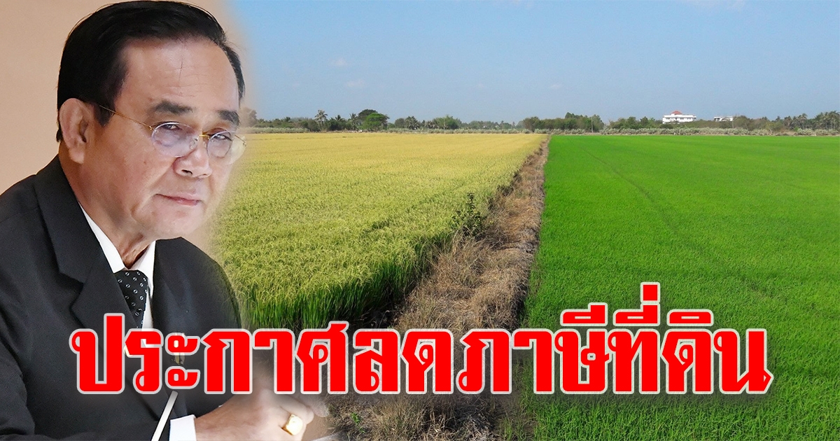 ครม. ประกาศลดภาษีที่ดิน เฉพาะปี 63