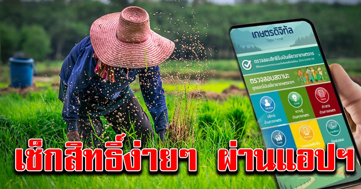 ตรวจสอบสถานะ อุทธรณ์เงินช่วยเหลือเกษตรกร เช็กง่ายผ่านแอปฯ