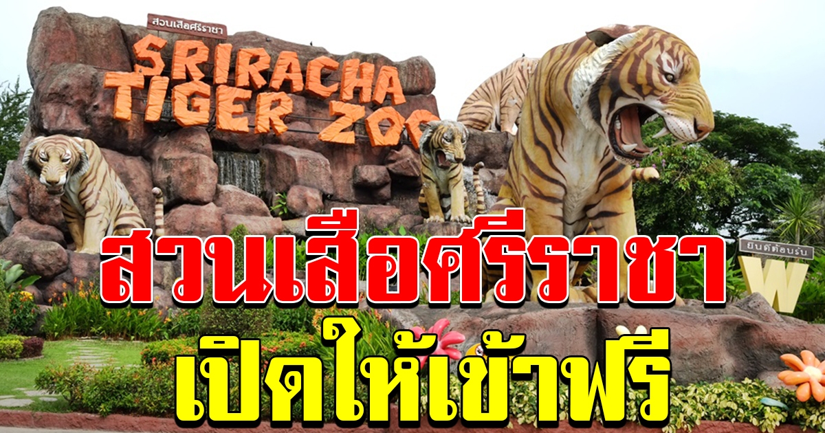 เข้าฟรี สวนเสือศรีราชาฟรี